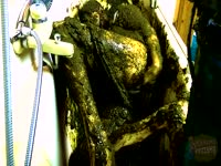 [ Scat Fetish Tube ] Petite chick on a poop shower